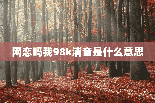 网恋吗我98k消音是什么意思